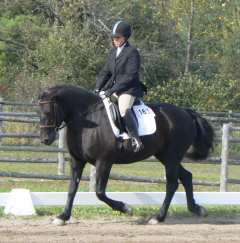 dressage19.jpg