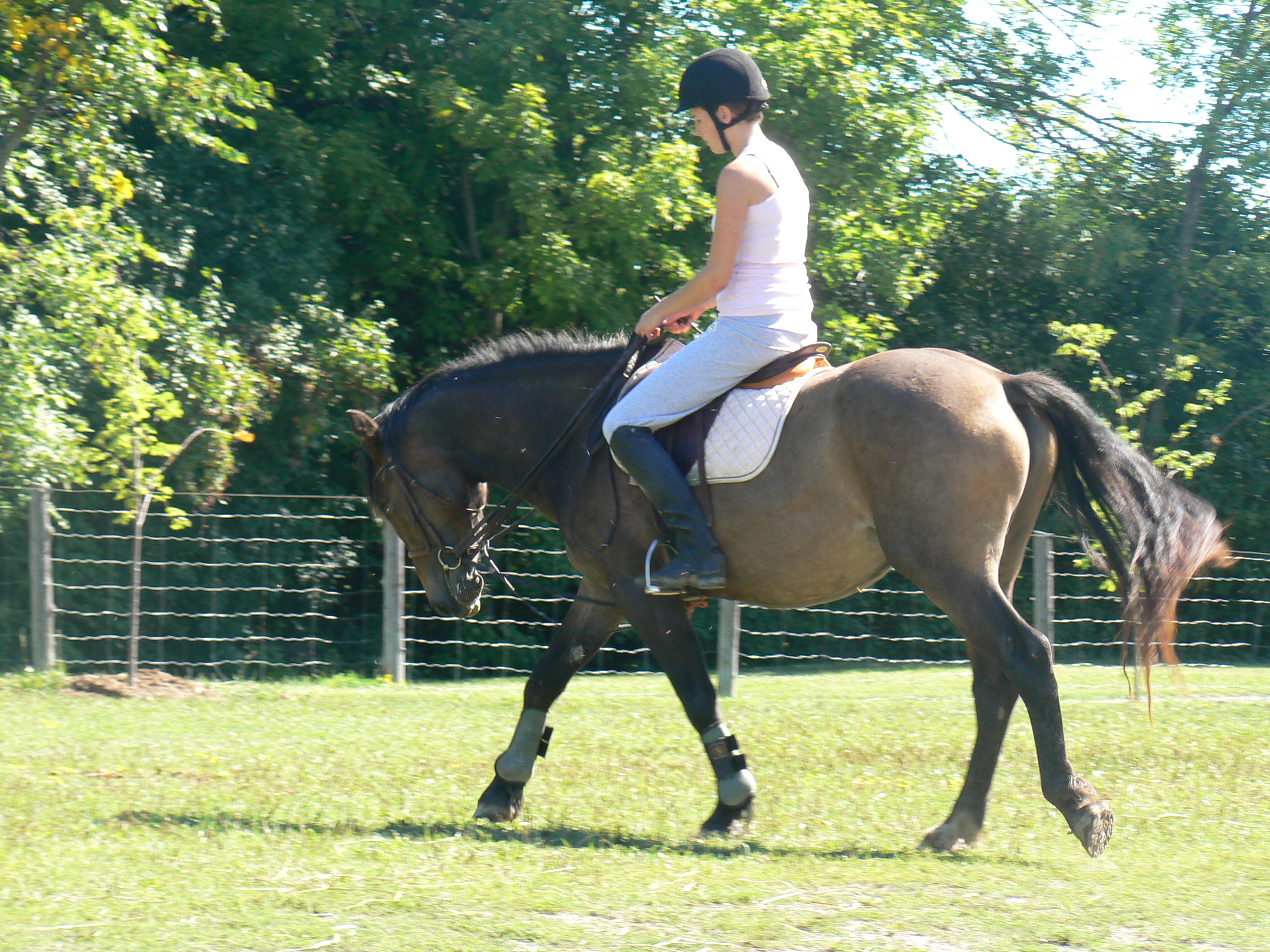 p1020410.jpg