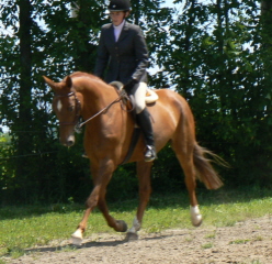 picture116.jpg
